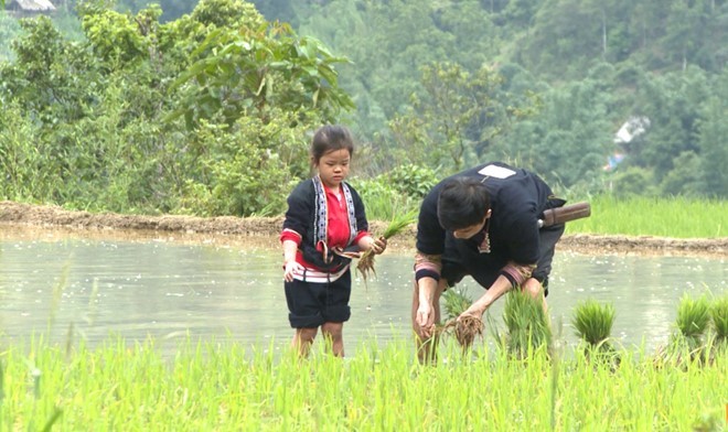 Sao Bo oi Minh di dau the loi bun hoc cay lua-Hinh-5